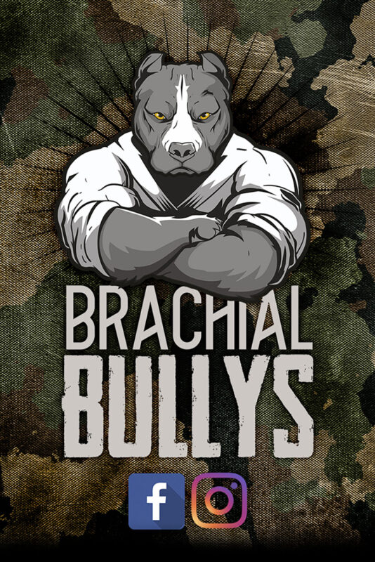 Brachial-Bullys-art-1